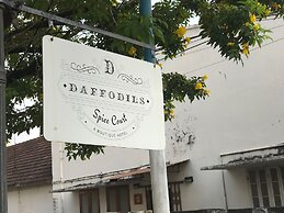 Daffodils Spice Court