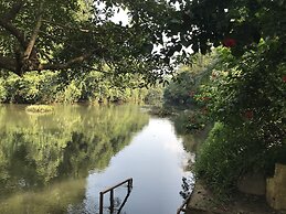 Daffodils Spice Court