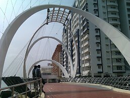 Daffodils Spice Court