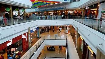 Daffodils Spice Court