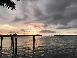 Daffodils Spice Court