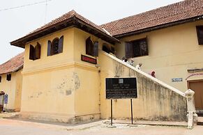 Daffodils Spice Court