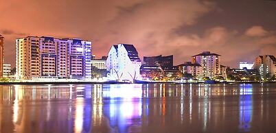 Daffodils Spice Court