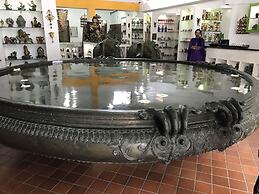 Daffodils Spice Court