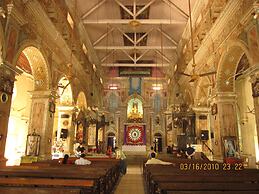 Daffodils Spice Court