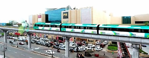 Daffodils Spice Court