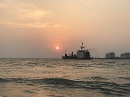 Daffodils Spice Court