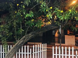 Daffodils Spice Court