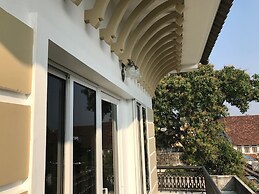 Daffodils Spice Court