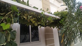 Daffodils Spice Court