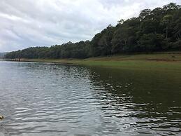 Daffodils Spice Court