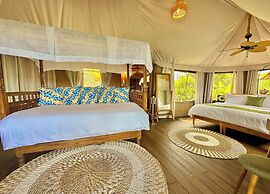 Palau Carolines Resort