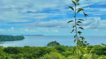 Palau Carolines Resort