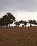 Pukyo Bed and Breakfast