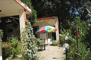 Janardan Resort Churaini - Campsite