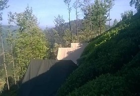 Janardan Tea Resort - Campsite