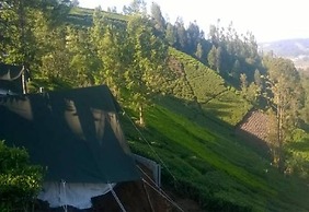 Janardan Tea Resort - Campsite