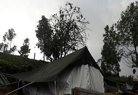 Janardan Tea Resort - Campsite