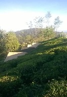 Janardan Tea Resort - Campsite