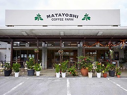 Matayoshi Coffee Farm