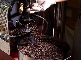 Matayoshi Coffee Farm