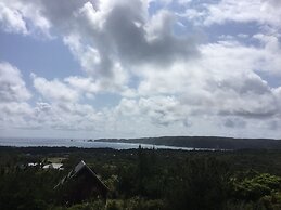 Matayoshi Coffee Farm