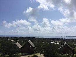 Matayoshi Coffee Farm