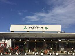 Matayoshi Coffee Farm
