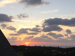 Matayoshi Coffee Farm