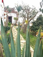 Hostal Casa Torrent