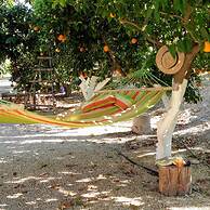 La Joya del Valle de Ricote