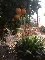 La Joya del Valle de Ricote