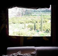 La Joya del Valle de Ricote