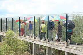 Sunderban Tiger Camp
