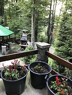 Casita del Bosque