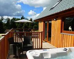 Lord Galloway 32 (H 2016) 82334