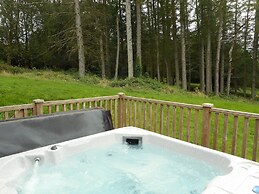 Lord Galloway 32 (H 2016) 82334