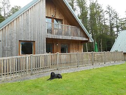 Lord Galloway 32 (H 2016) 82334