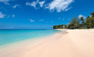 Coral Cove 11 by Altman