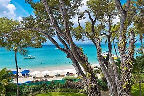 Coral Cove 11 by Altman