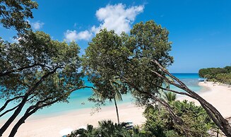 Coral Cove 11 by Altman