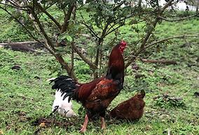 Pousada Villa da Glória