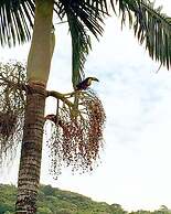 Pousada Villa da Glória