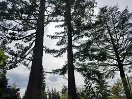 Redwood Hyperion Suites