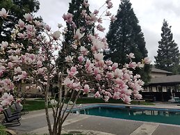 Redwood Hyperion Suites