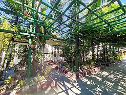 Olana Bed and Breakfast