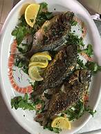 Cinquestelle-albergo del centro storico