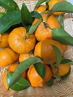 Cinquestelle-albergo del centro storico