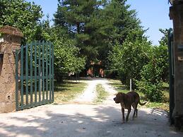 B&B Monticelli