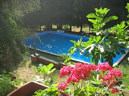 B&B Monticelli